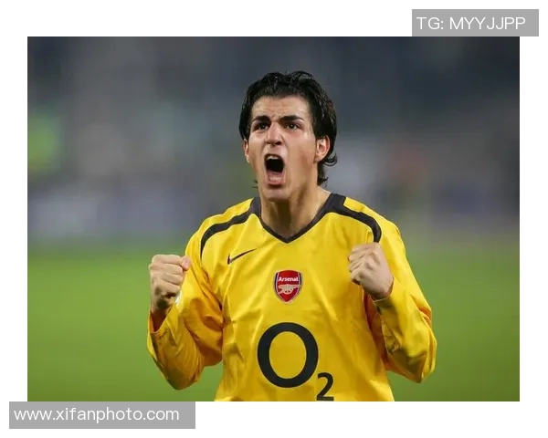 十二年绿茵巨星回顾全面解读足坛传奇人物成长与辉煌历程 十二年绿茵巨星回顾全面解读足坛传奇人物成长与辉煌历程